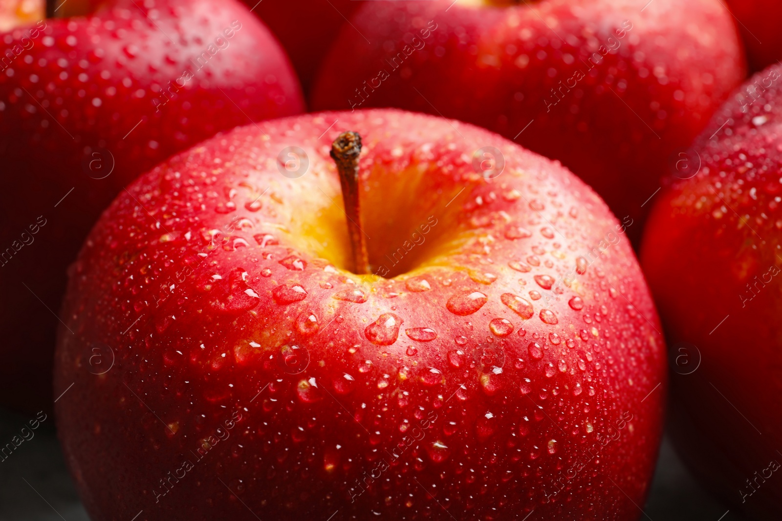 Photo of Ripe red apples with water drops, closeup