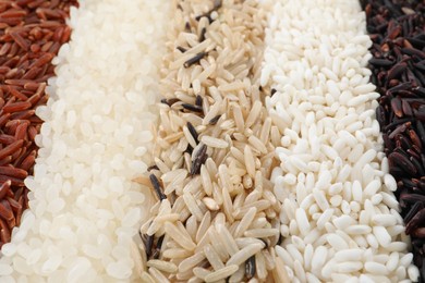 Different sorts of rice as background, closeup