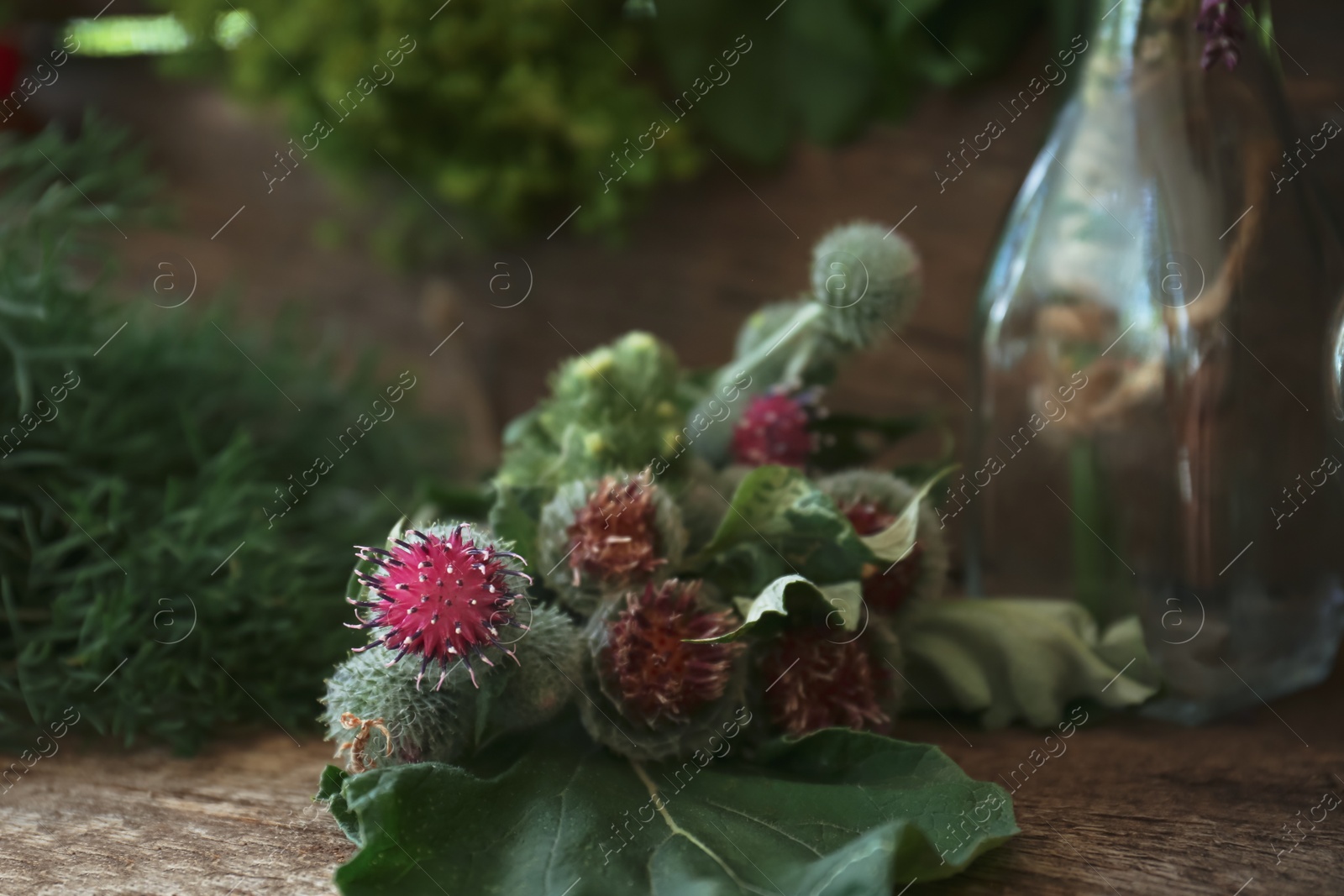 Photo of Bunch of beautiful burdock on wooden table, closeup