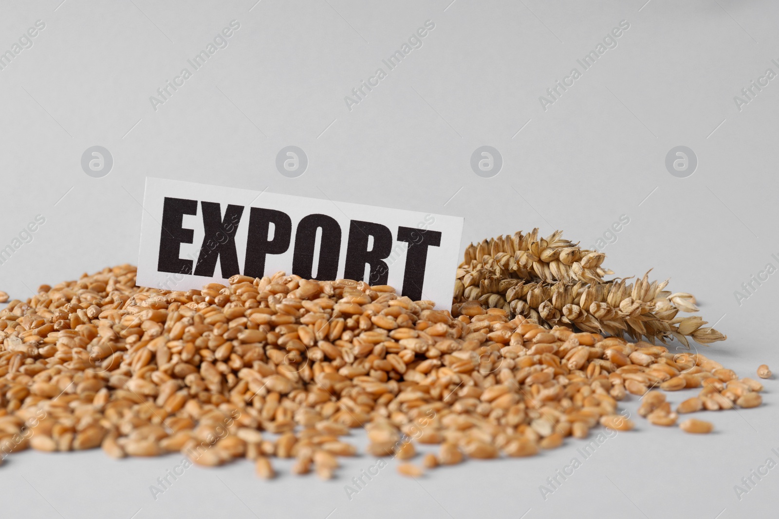 Photo of Paper card with word Export, pile of wheat grains and spikes on white background