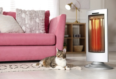 Photo of Cute cat on floor near modern electric ultrared heater indoors
