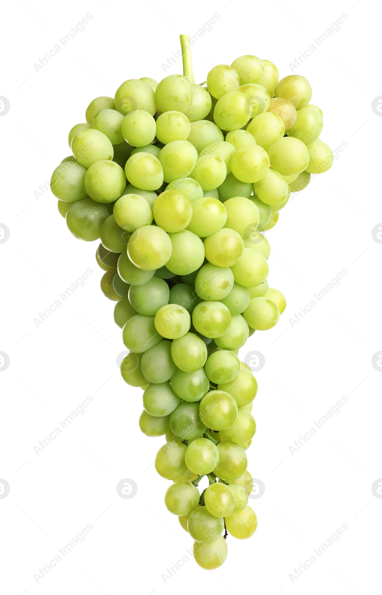 Photo of Bunch of green fresh ripe juicy grapes isolated on white