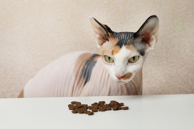 Photo of Beautiful Sphynx cat and pile of kibble on white table against beige background