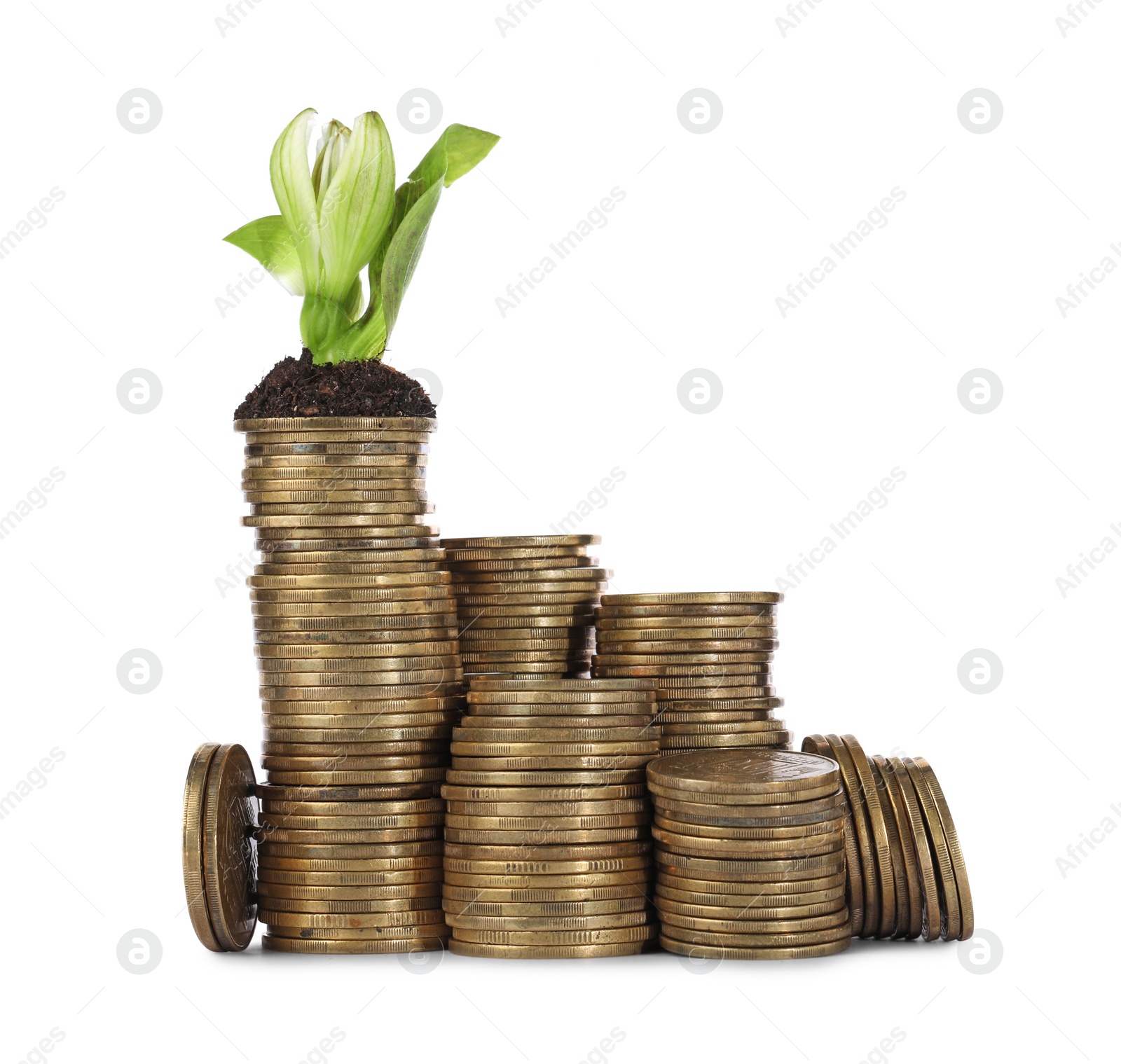 Photo of Stacks of coins with flower isolated on white. Investment concept