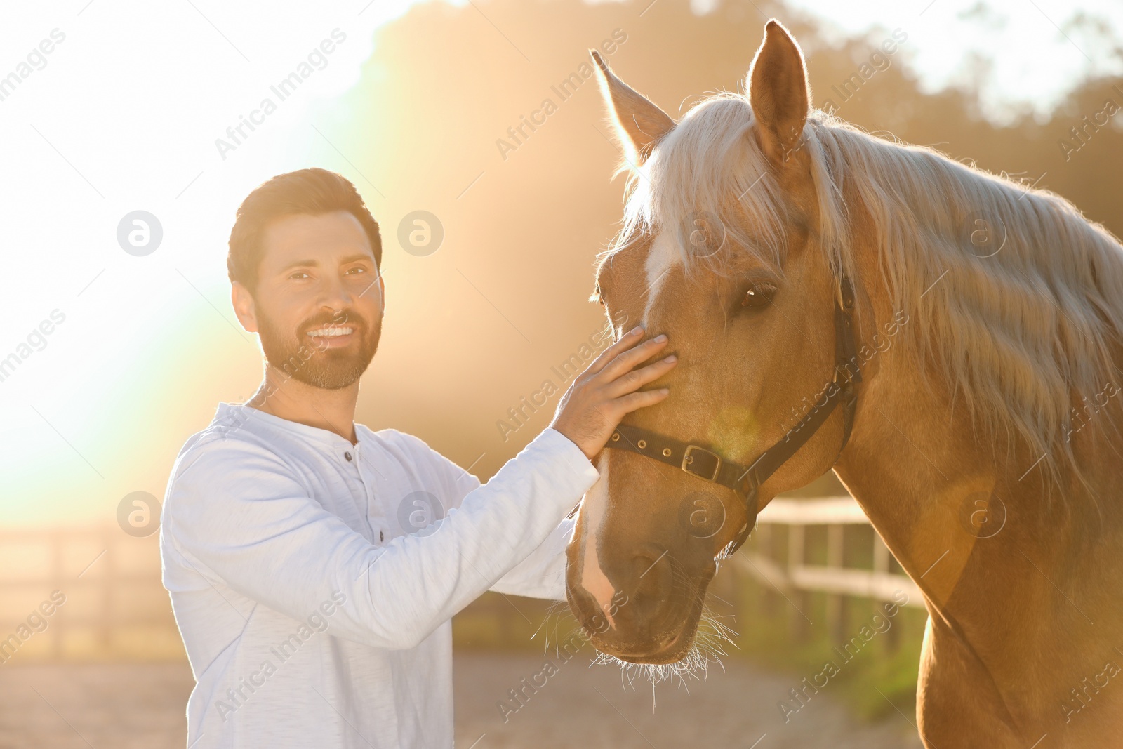 Photo of Handsome man with adorable horse outdoors on sunny day. Lovely domesticated pet