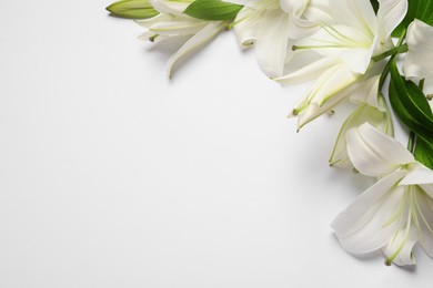 Photo of Beautiful lily flowers on white background, flat lay. Space for text