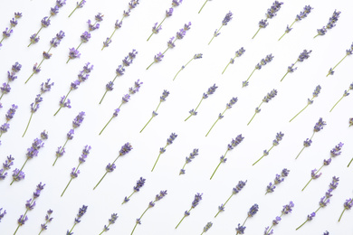 Photo of Beautiful lavender flowers on white background, flat lay