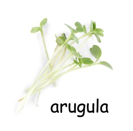 Image of Fresh organic microgreen on white background, top view