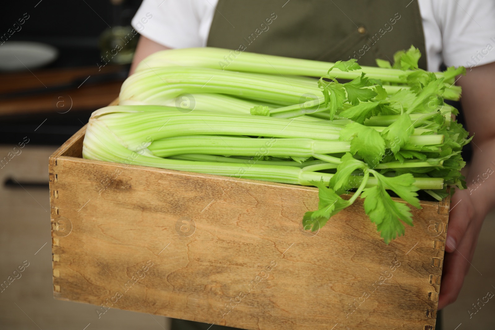 Photo of Woman holding crate with fresh green celery in kitchen, closeup