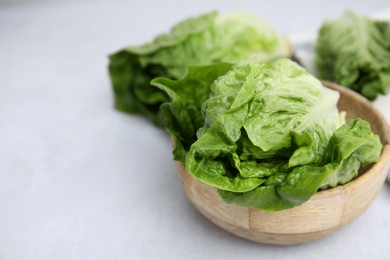 Photo of Fresh green romaine lettuces on grey table, space for text