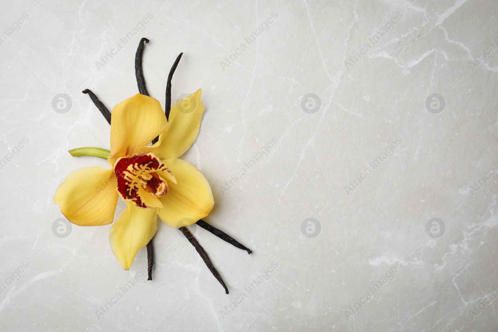 Photo of Beautiful vanilla flower and sticks on grey background