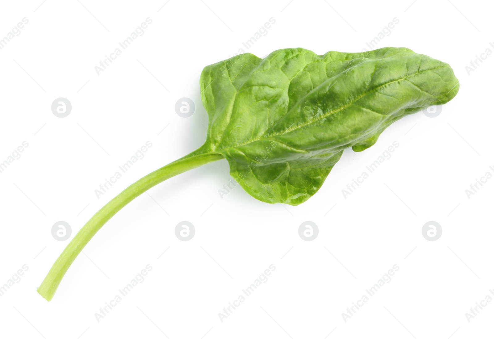 Photo of Fresh leaf of spinach isolated on white, top view