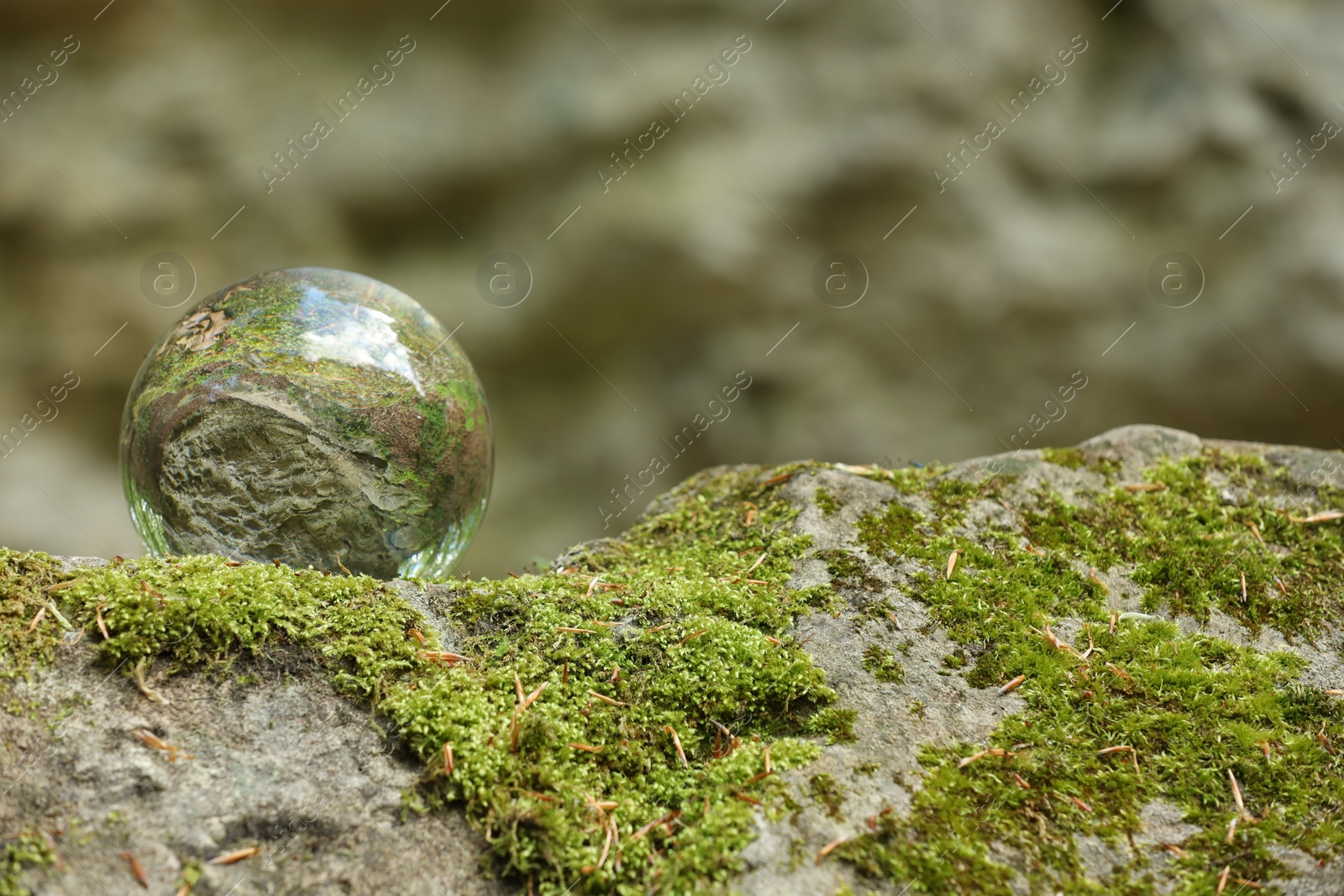 Photo of Beautiful forest, overturned reflection. Crystal ball on stone surface with moss outdoors