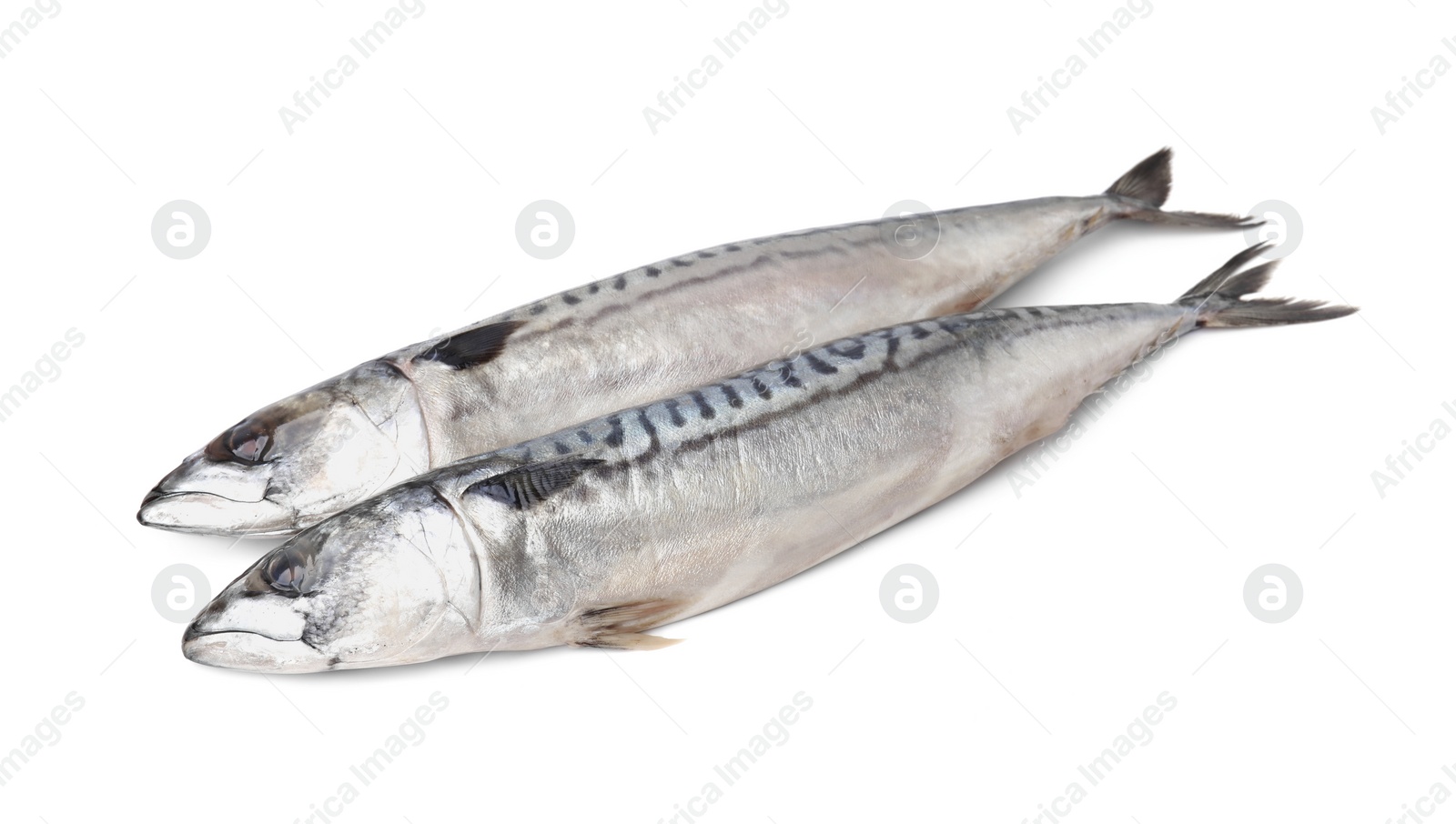 Photo of Two tasty salted mackerels on white background