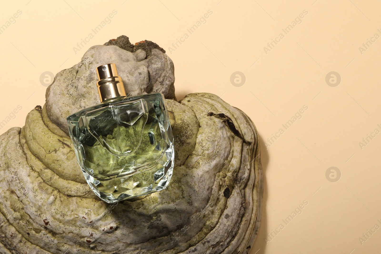 Photo of Luxury perfume in bottle and decorative element on beige background, top view. Space for text