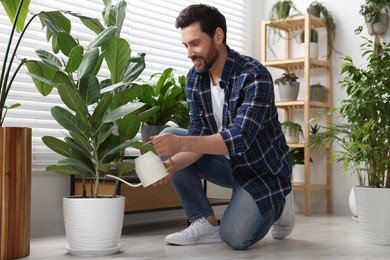 Man watering beautiful potted houseplants at home