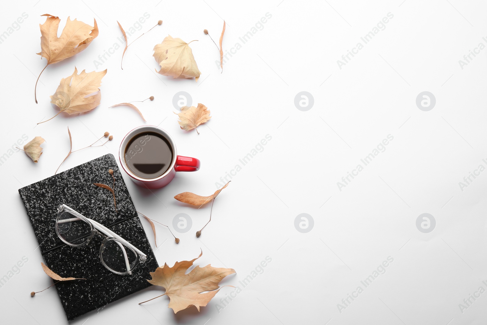 Photo of Composition with hot drink on white background, top view. Cozy autumn