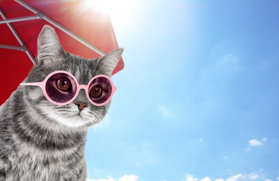 Tabby cat with sunglasses under red beach umbrella on sunny day