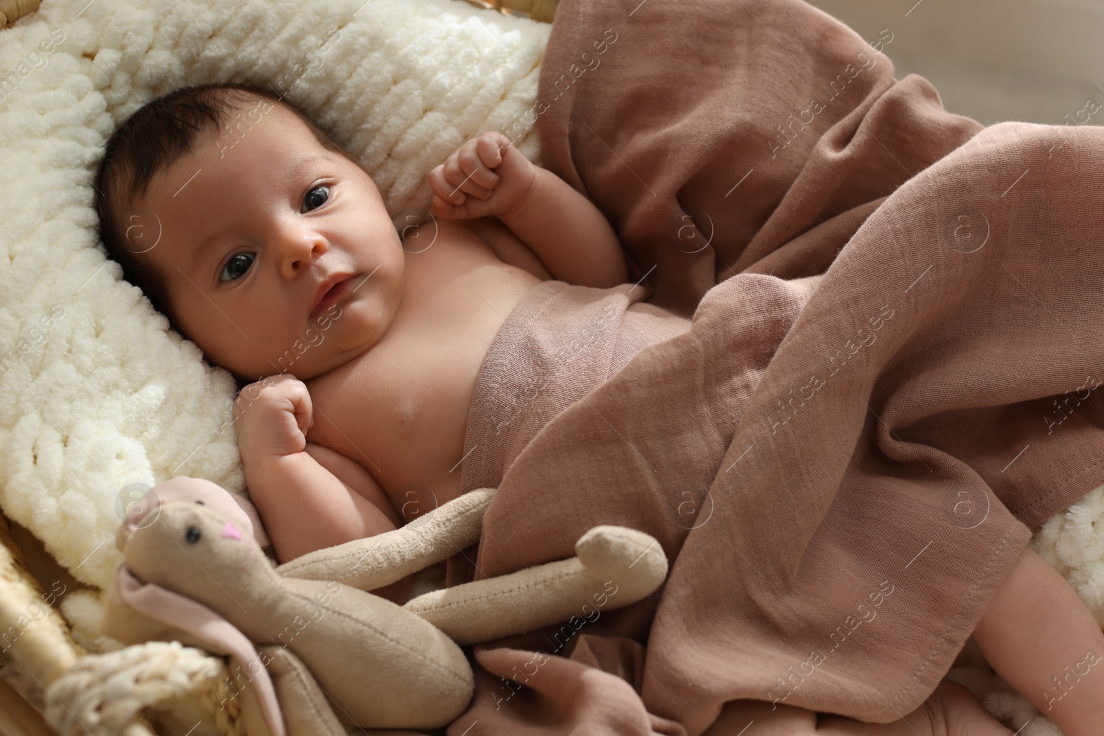 Photo of Cute newborn baby with toy bunny lying in cradle, top view