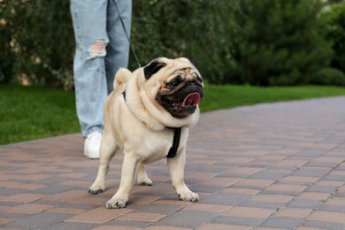 Photo of Woman walking with her cute pug outdoors, closeup