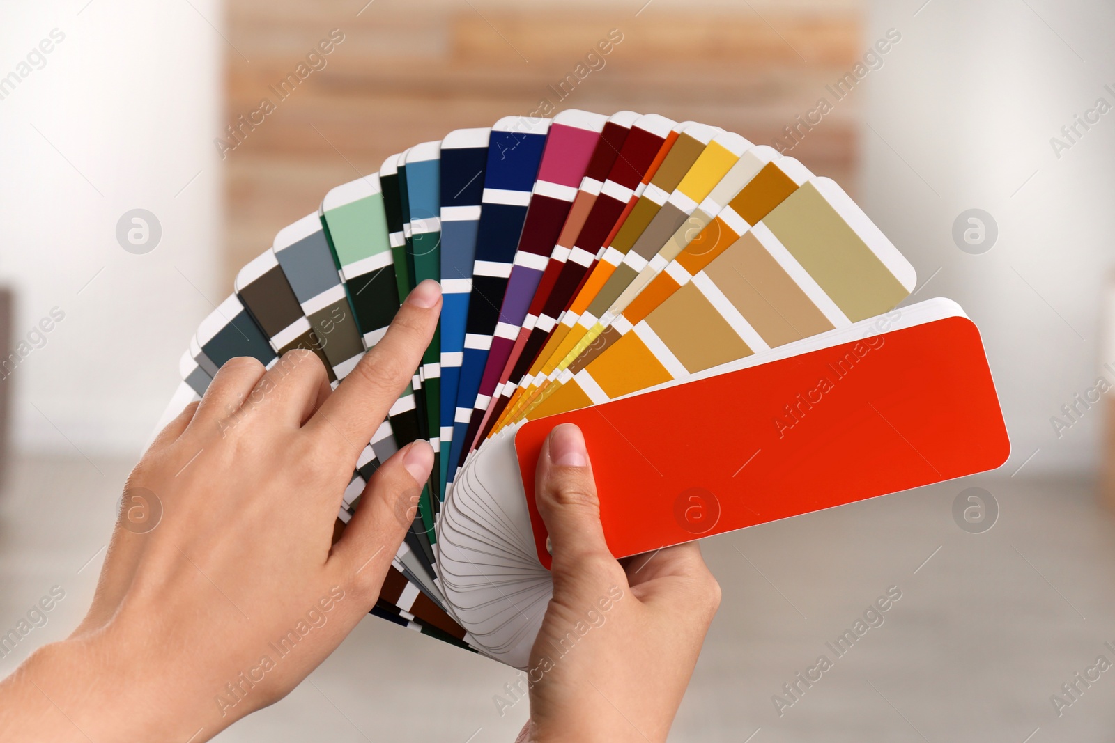 Photo of Female interior designer with color palette samples indoors, closeup