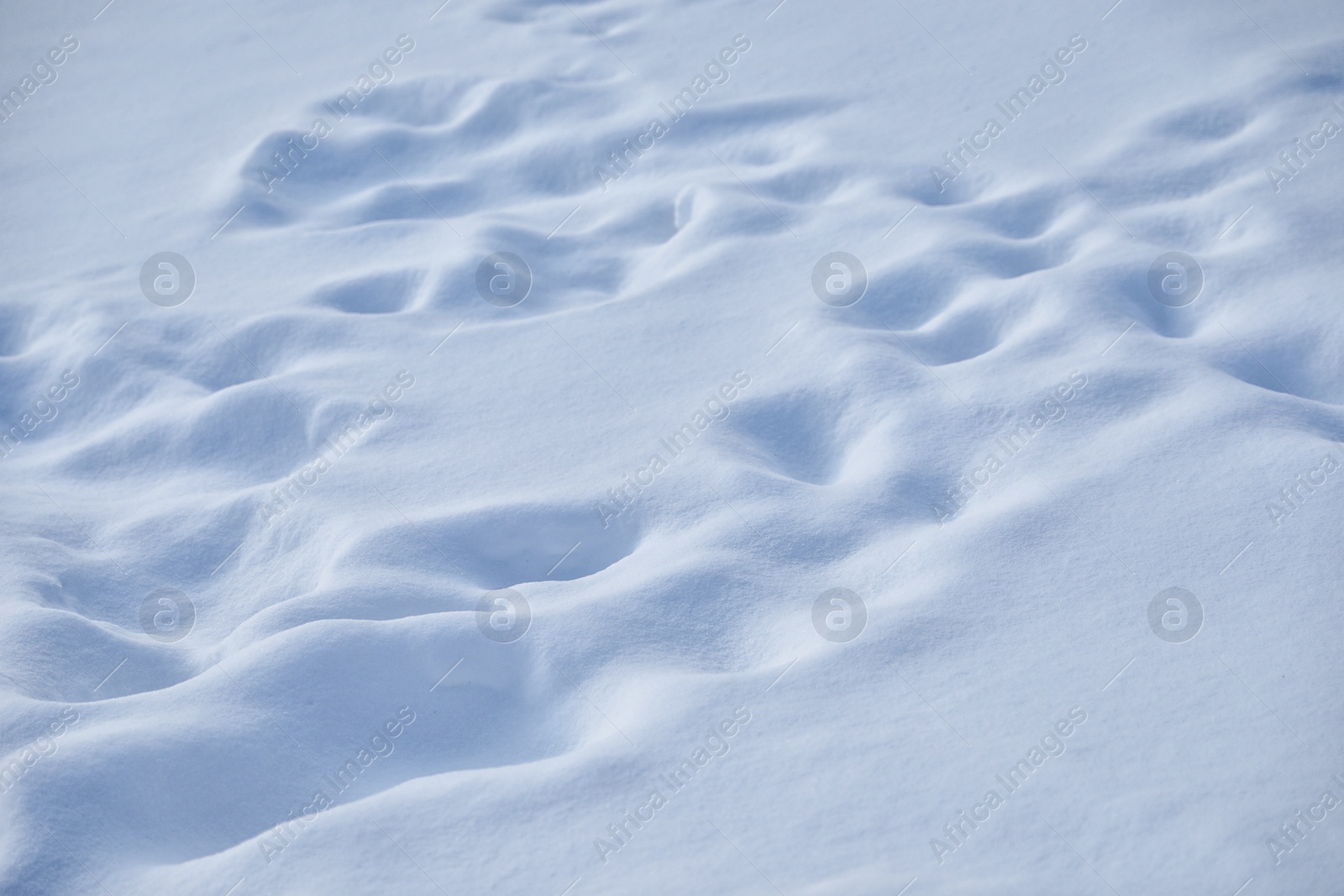 Photo of Beautiful snowdrift as background, closeup view. Winter weather