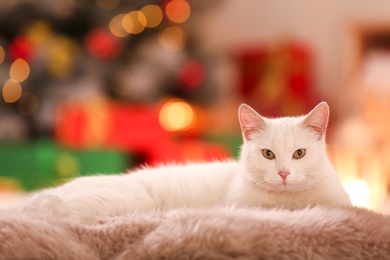 Photo of Cute white cat on fuzzy carpet in room decorated for Christmas. Adorable pet