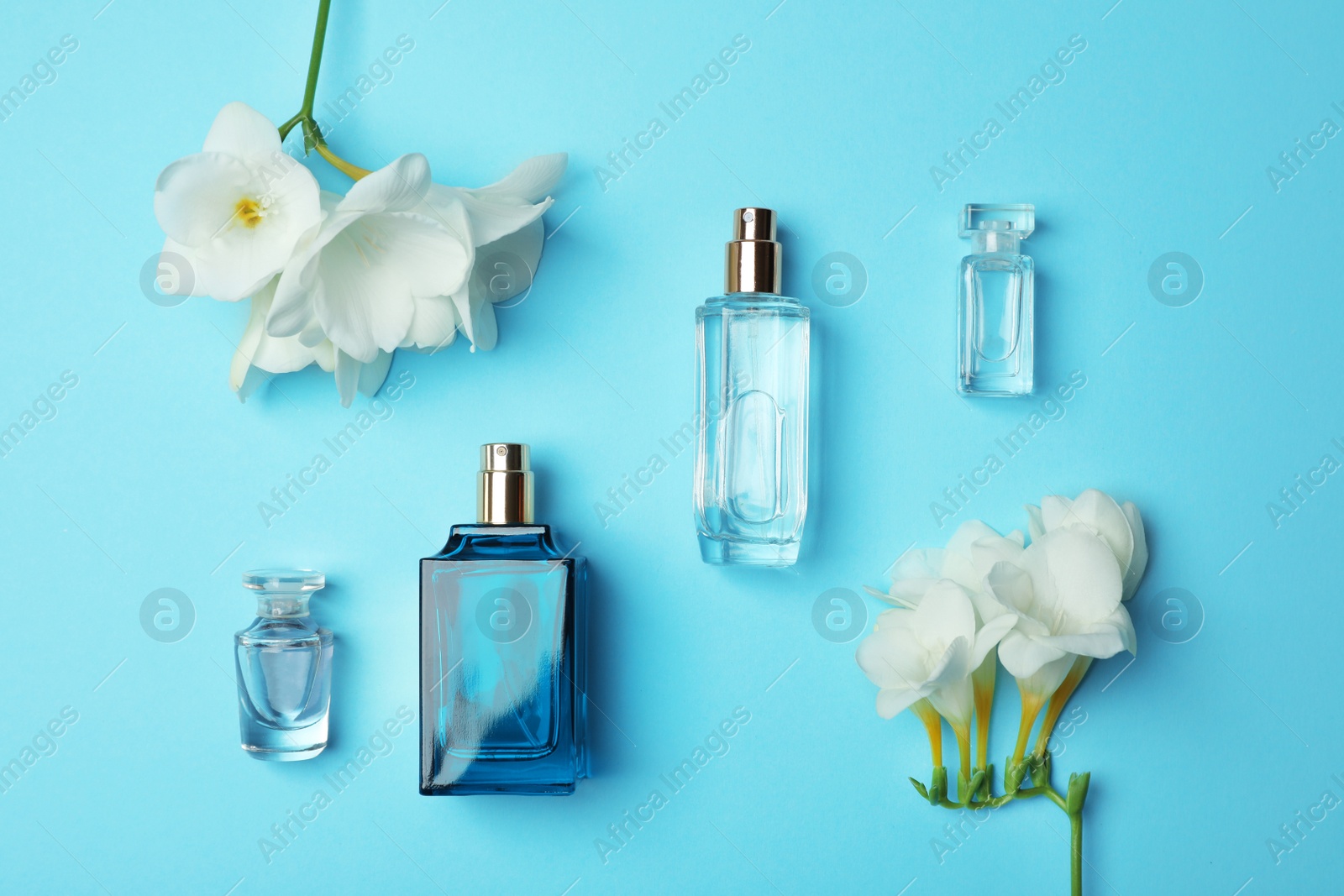 Photo of Bottles of perfume and flowers on color background, top view