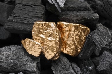 Shiny gold nuggets on coals, closeup view