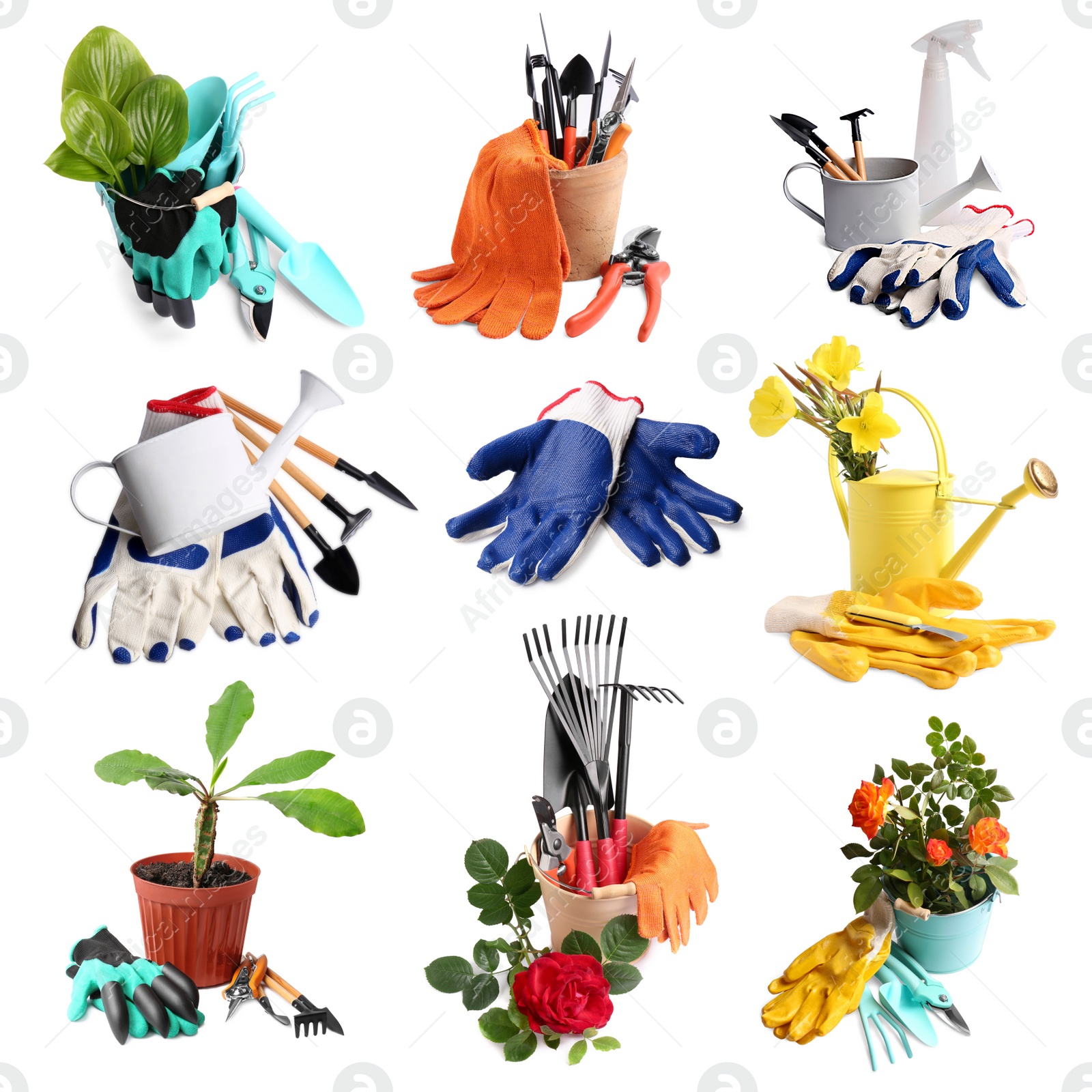 Image of Set with different gardening tools and bright gloves on white background