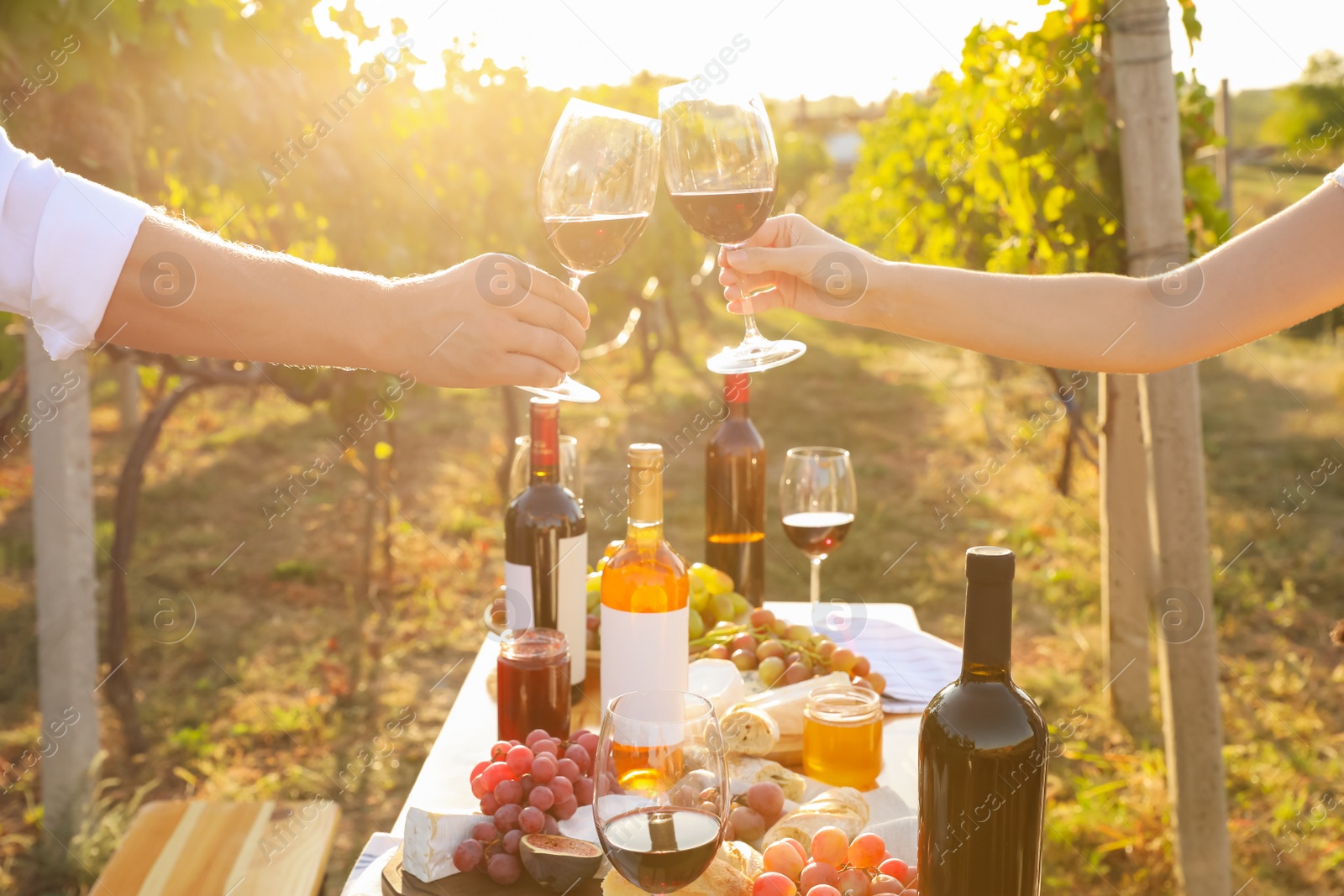 Photo of Couple with glasses of wine in vineyard on sunny day, closeup