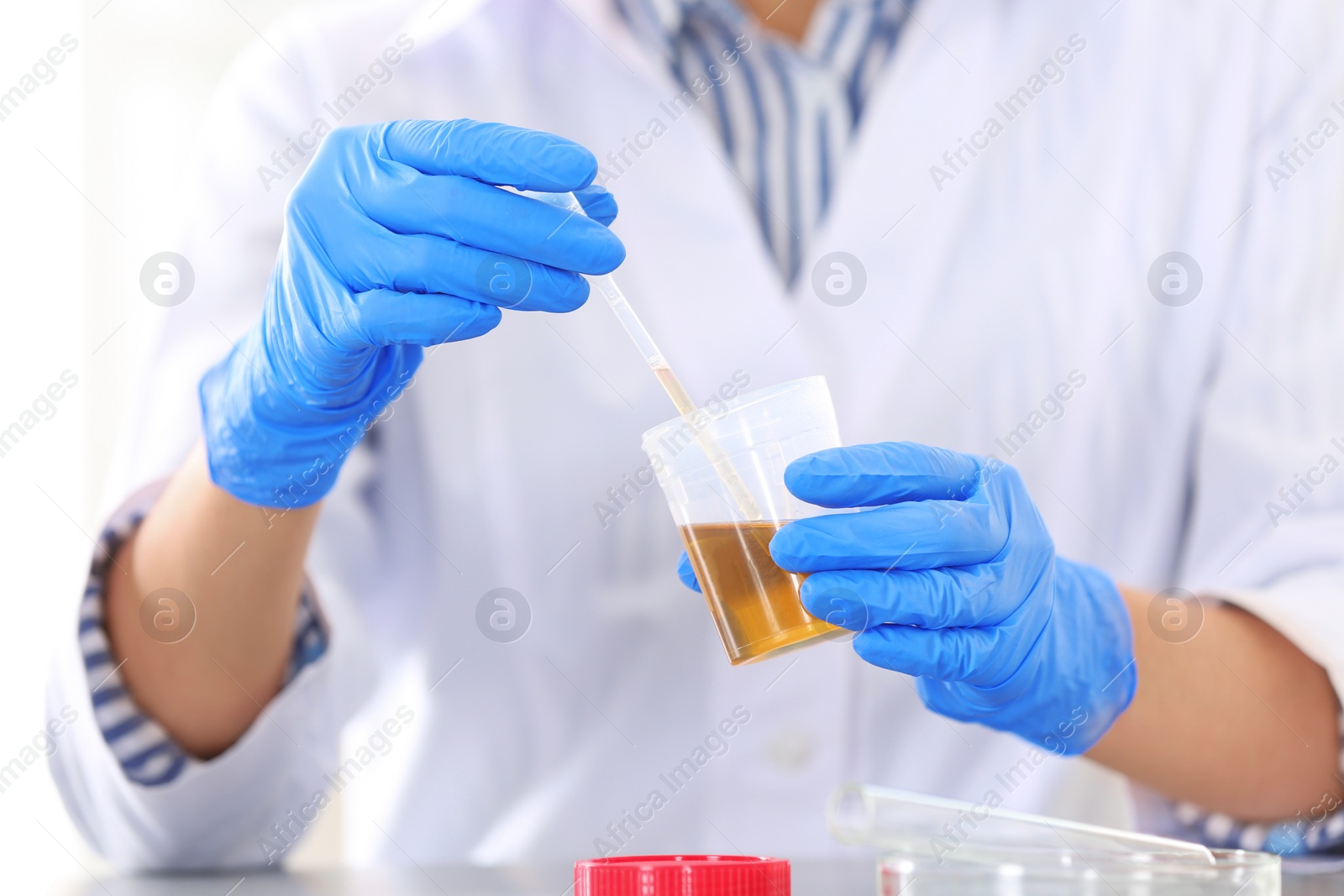 Photo of Scientist working in laboratory, closeup. Research and analysis