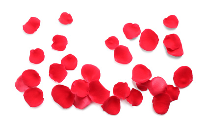 Photo of Fresh red rose petals on white background, top view