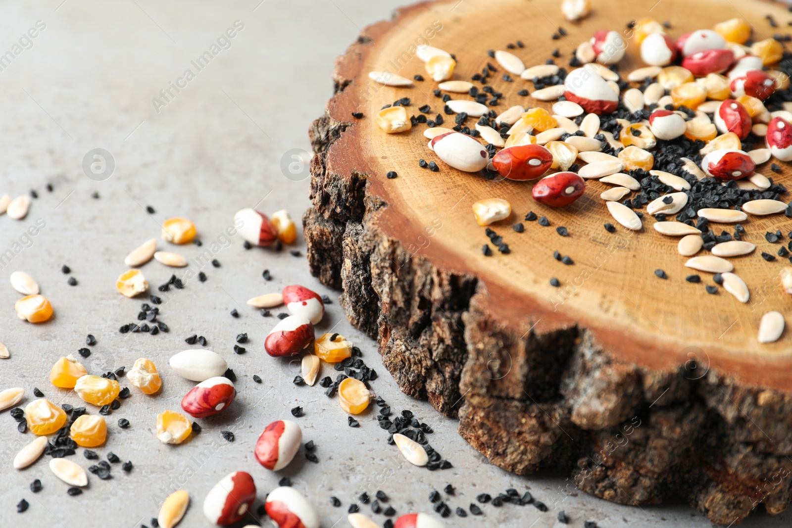 Photo of Mixed vegetable seeds and wooden log on grey table, closeup