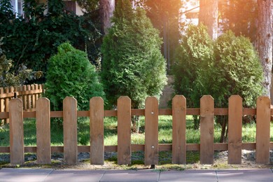 Photo of Small wooden fence near thujas on sunny day outdoors