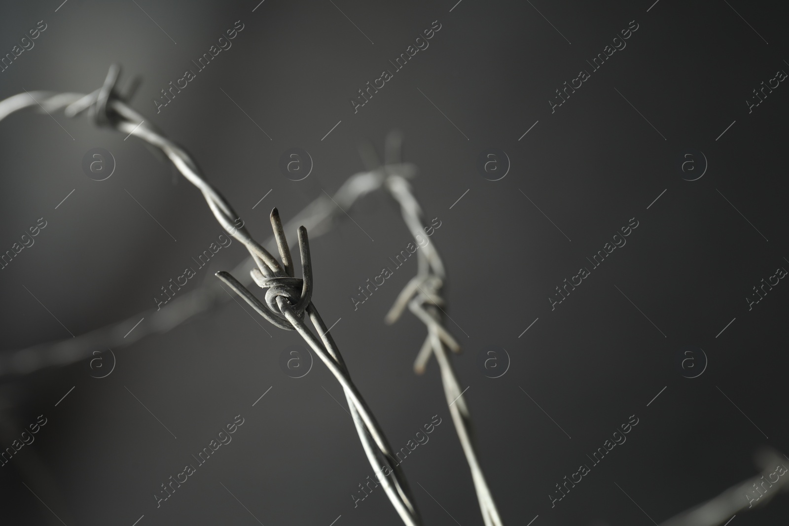 Photo of Metal barbed wire on dark grey background, closeup