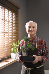 Photo of Senior man with Japanese bonsai plant near window indoors. Creating zen atmosphere at home