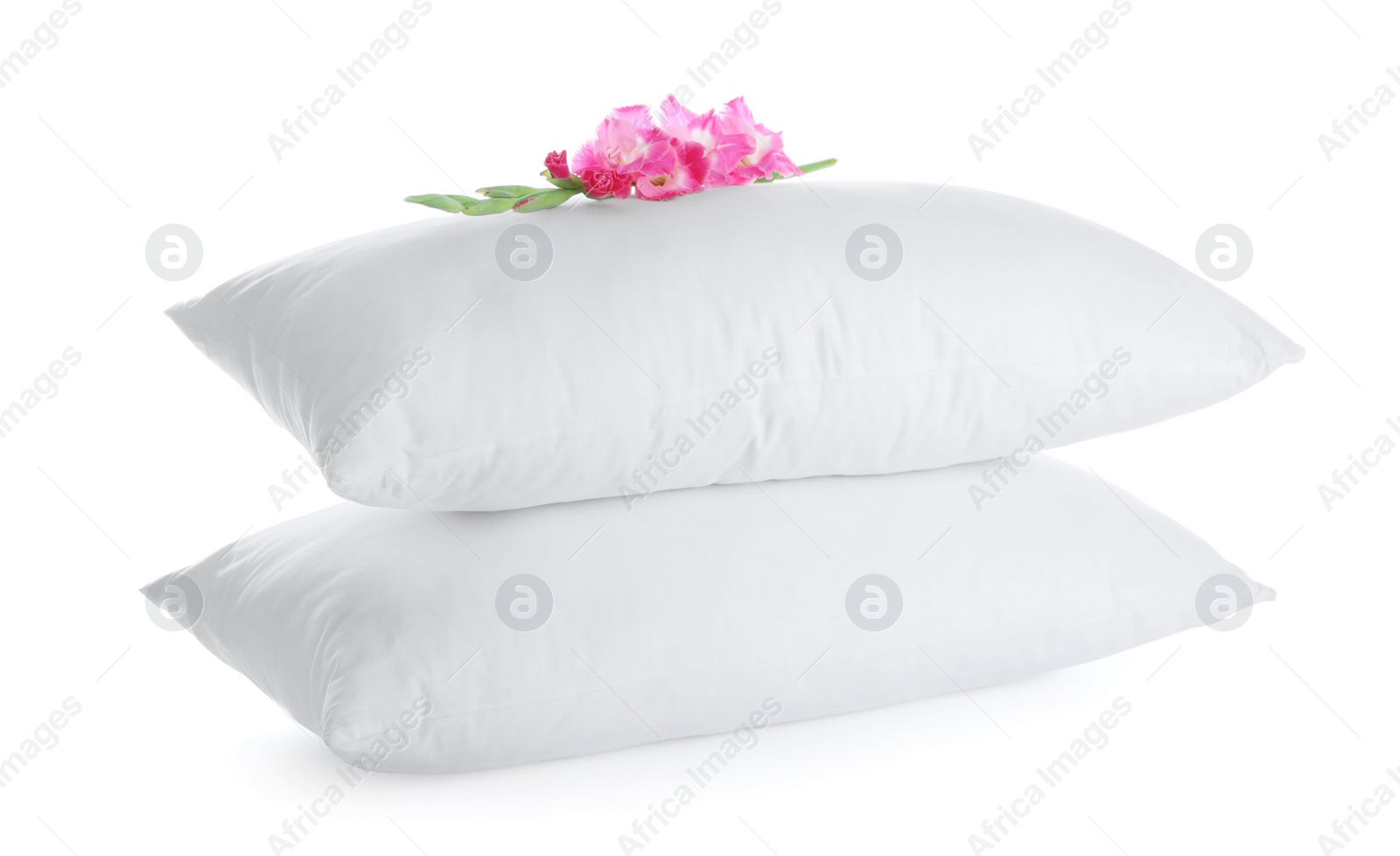 Photo of Soft pillows with beautiful flowers on white background