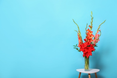 Photo of Vase with beautiful gladiolus flowers on wooden table against blue background. Space for text