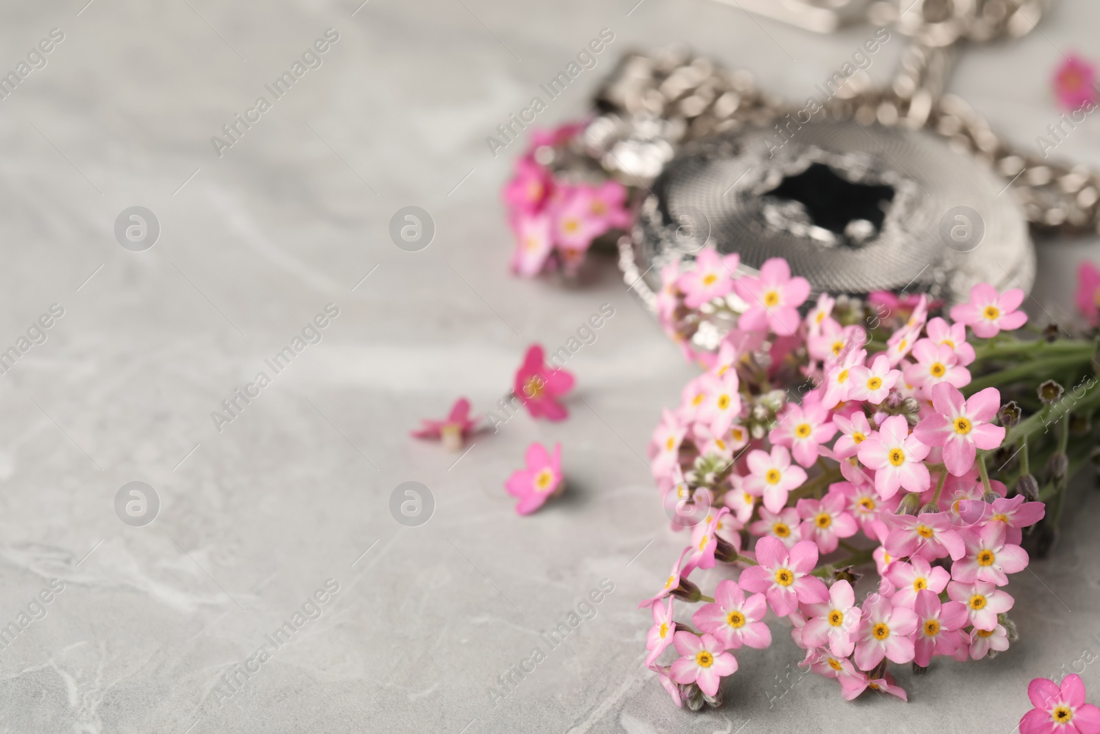 Photo of Beautiful Forget-me-not flowers and pocket watch on grey table, closeup. Space for text