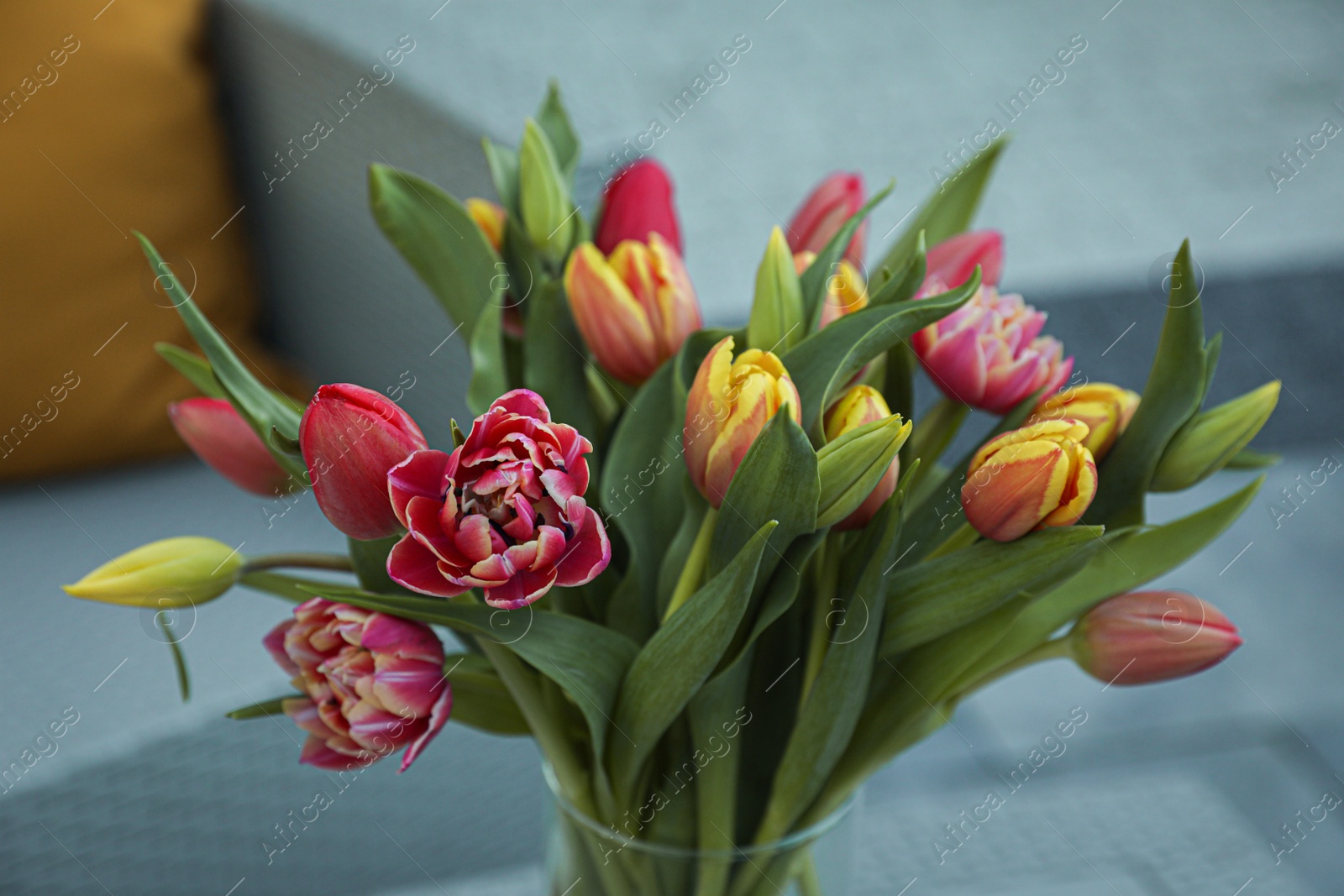 Photo of Beautiful bouquet of colorful tulips on blurred background