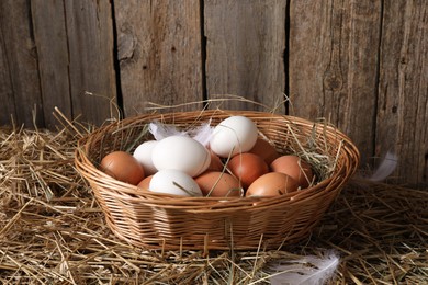 Fresh chicken eggs in wicker basket on dried straw near wooden wall