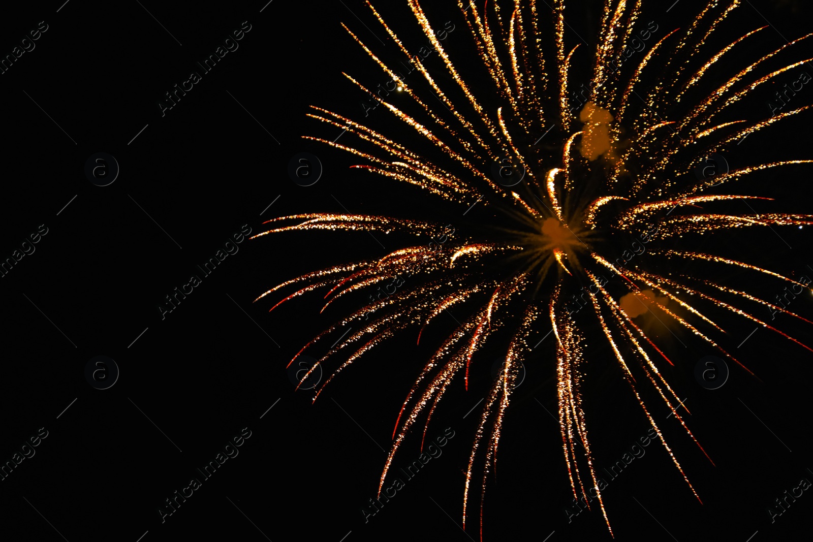 Photo of Beautiful bright firework lighting up night sky