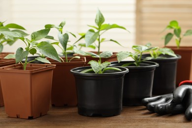 Photo of Seedlings growing in plastic containers with soil and gardening gloves on wooden table