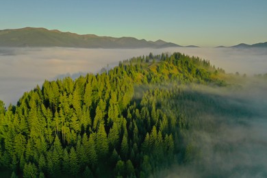 Aerial view of beautiful landscape with misty forest in mountains