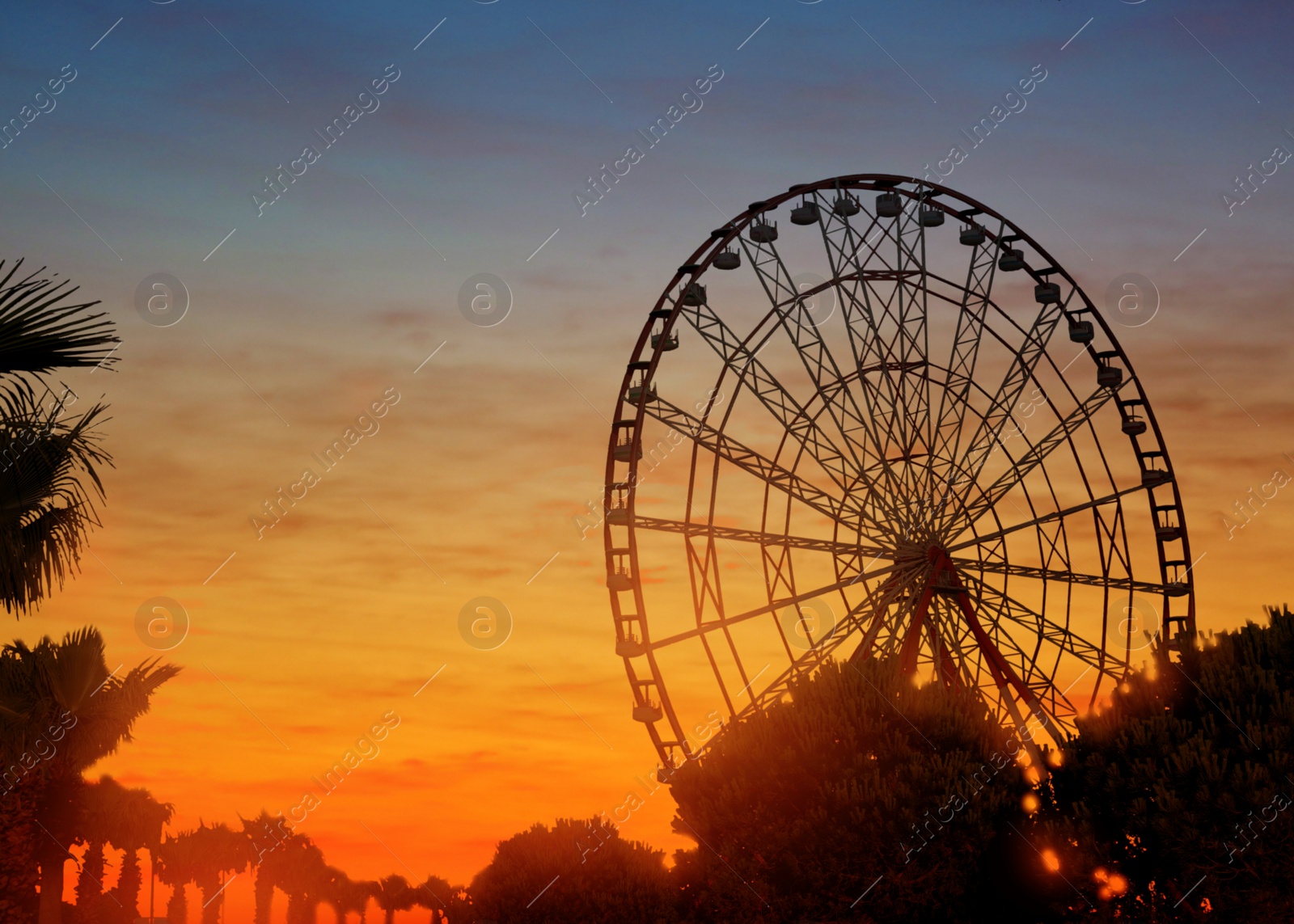 Image of Beautiful large Ferris wheel outdoors at sunset