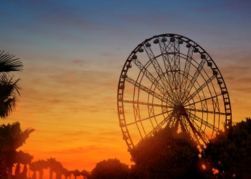 Image of Beautiful large Ferris wheel outdoors at sunset