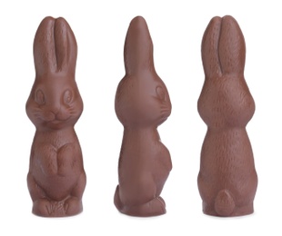 Set with chocolate Easter bunnies on white background 