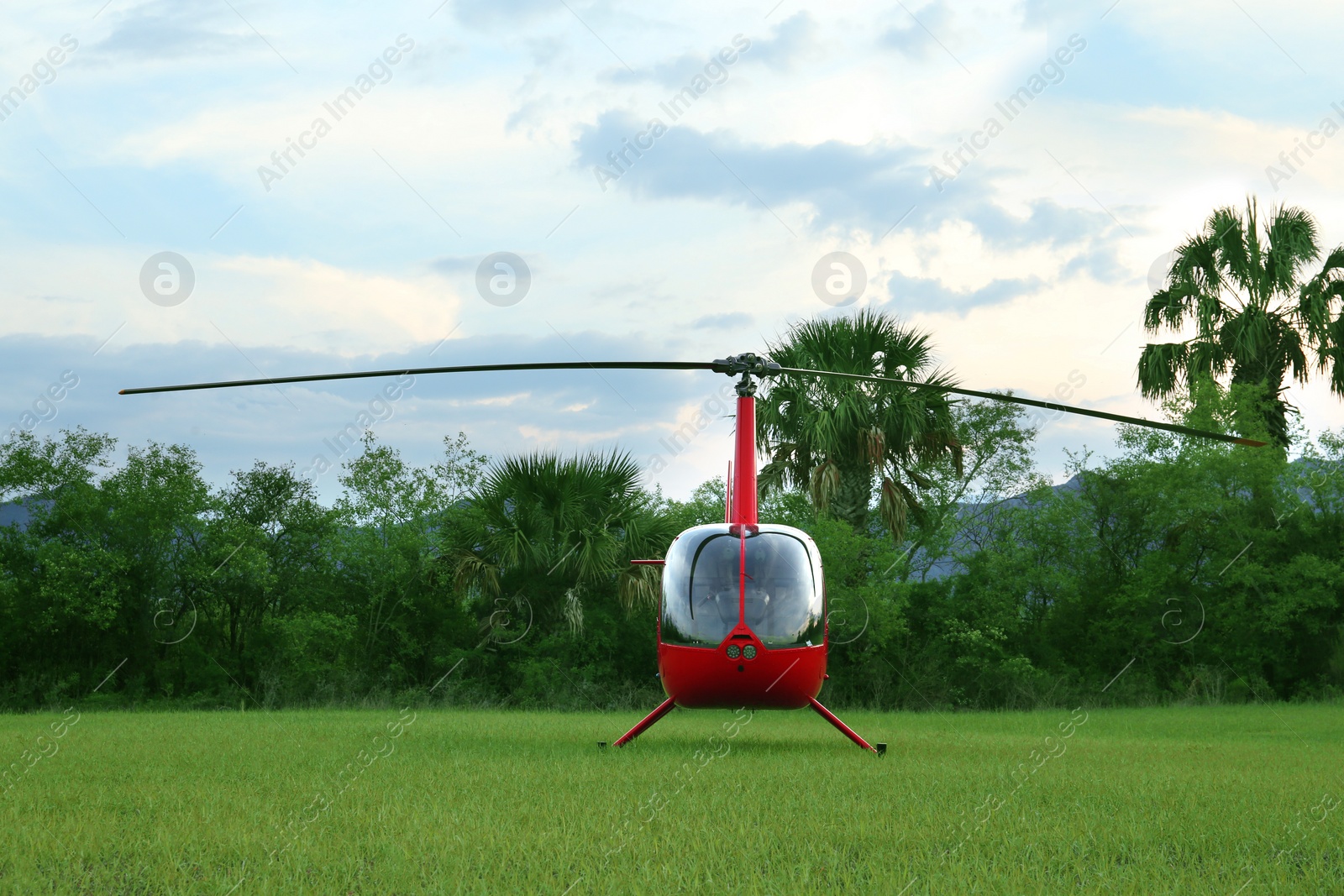 Photo of Modern red helicopter on green grass outdoors