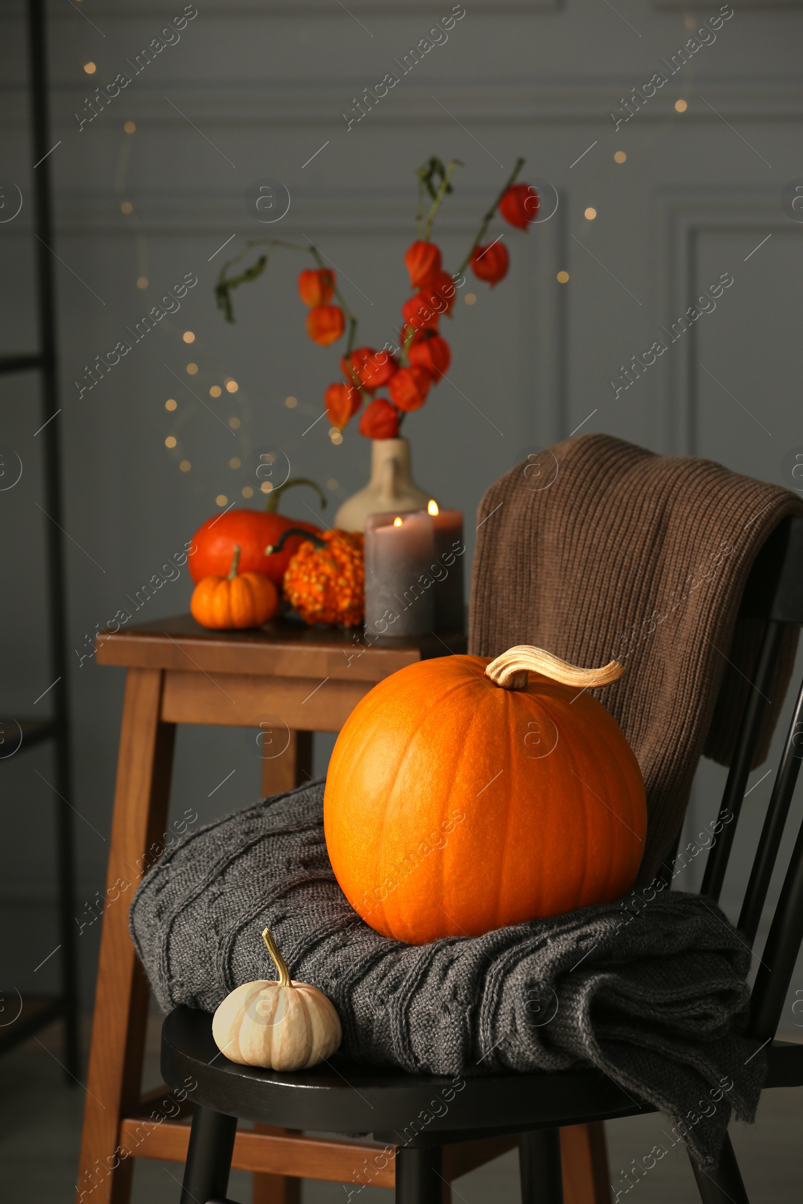 Photo of Beautiful autumn composition with pumpkins and blanket on chair indoors